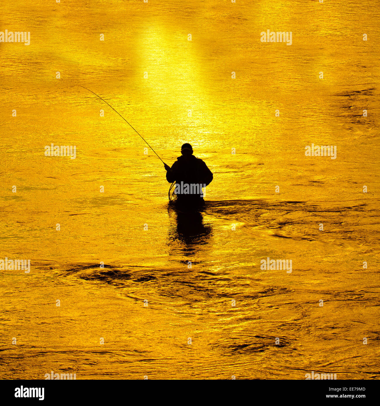 L'uomo la pesca in fiume con canna da mosca e trampolieri Foto Stock