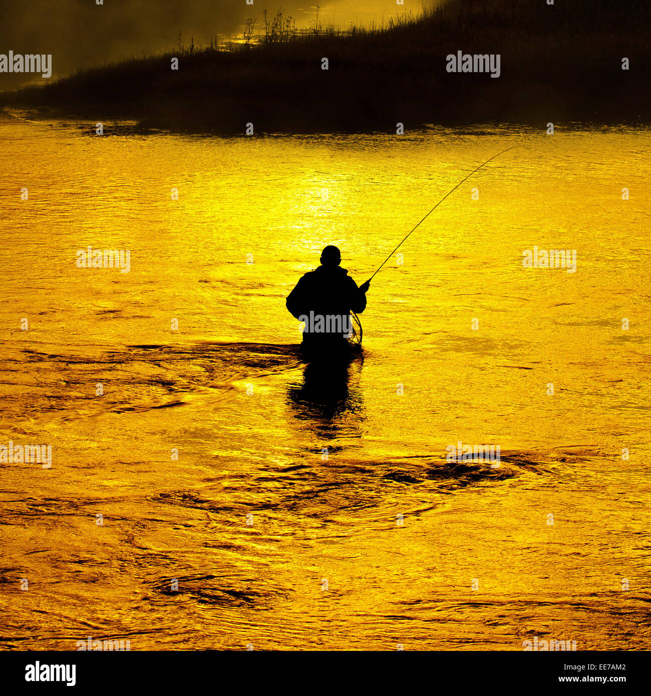 L'uomo la pesca in fiume con canna da mosca e trampolieri Foto Stock