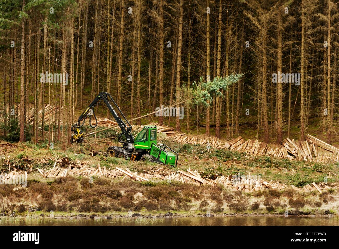 John Deere 1270 D Harvester abbattimento del legno in una foresta in Scozia occidentale. Un esempio di macchine per la raccolta di legno di conifera. Foto Stock