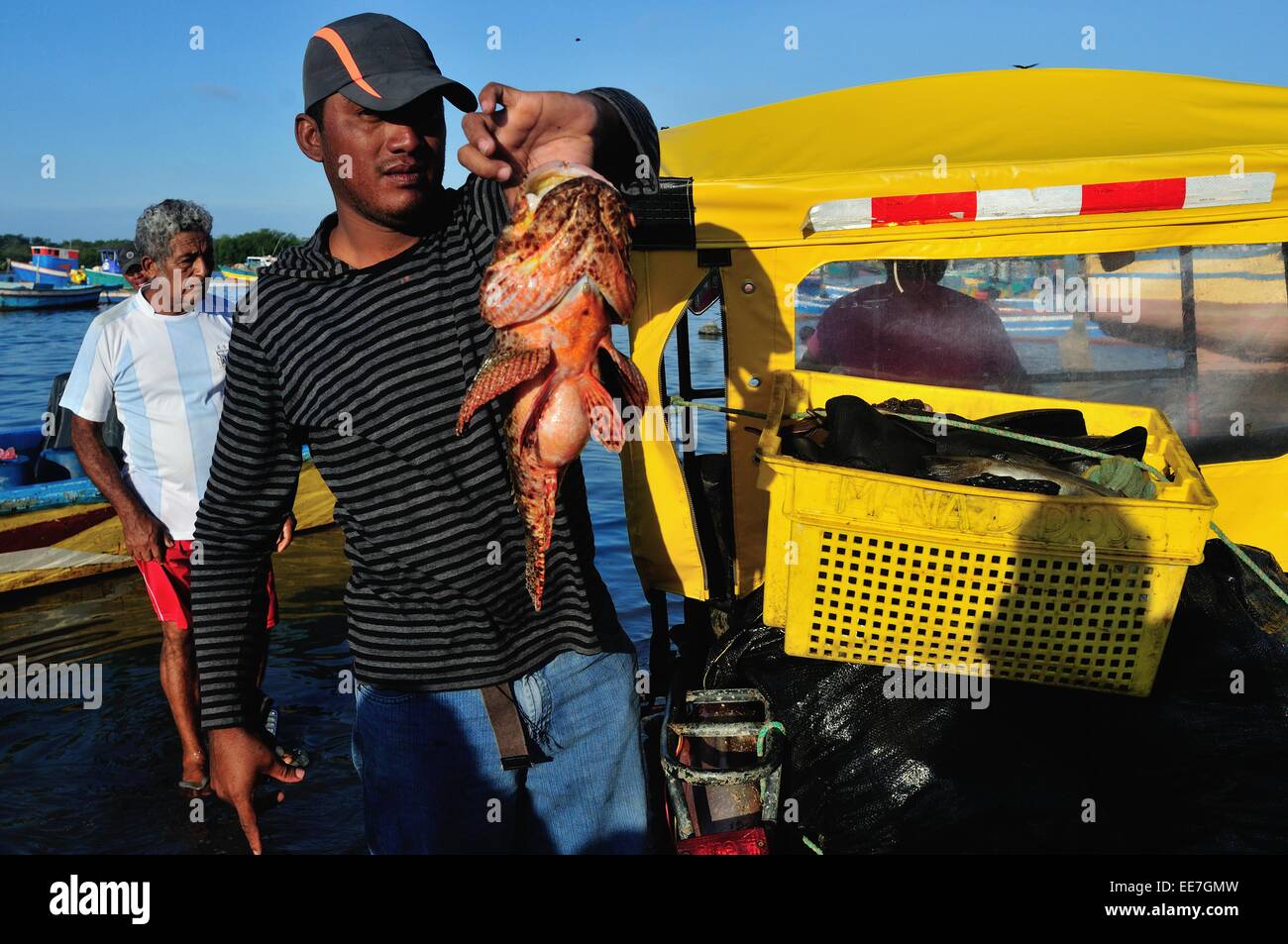 Pesce diavolo - Porto di Puerto Pizarro. Dipartimento di Tumbes .PERÙ Foto Stock