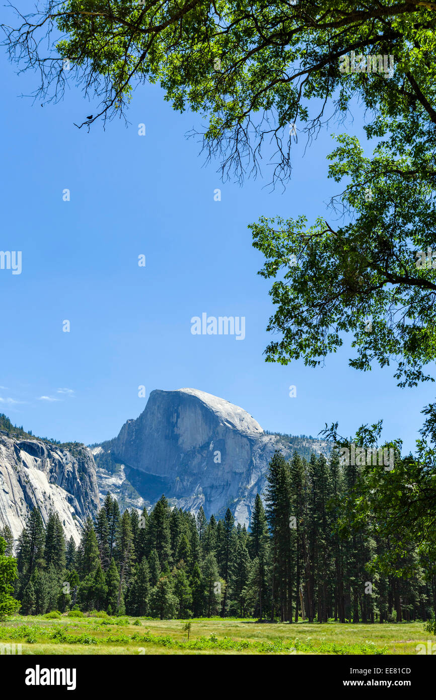 Half Dome, Yosemite Valley, del Parco Nazionale Yosemite, Sierra Nevada, a nord della California, Stati Uniti d'America Foto Stock
