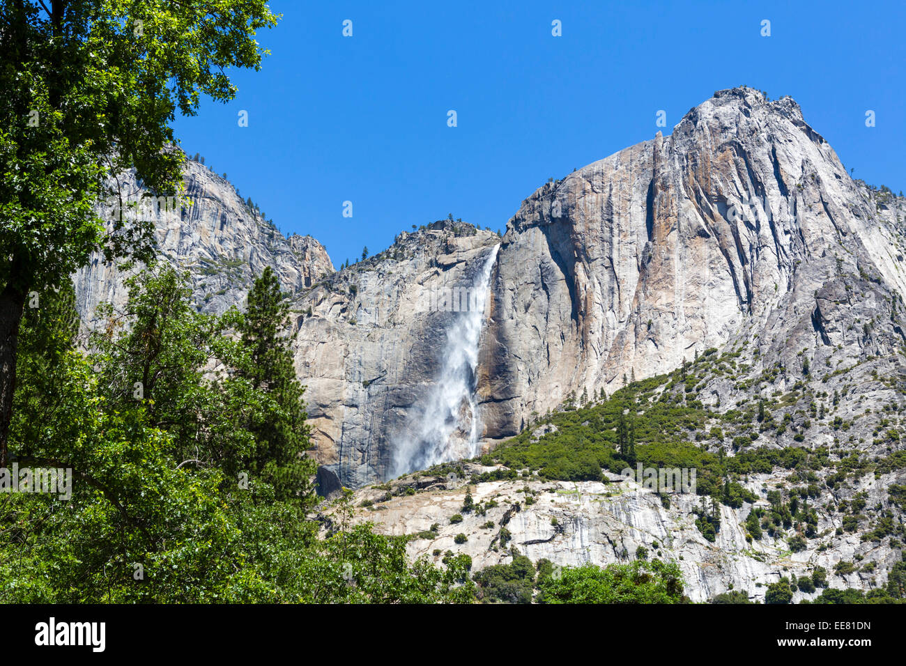 Il parco nazionale di Yosemite Falls, Yosemite Valley, del Parco Nazionale Yosemite, Sierra Nevada, a nord della California, Stati Uniti d'America Foto Stock