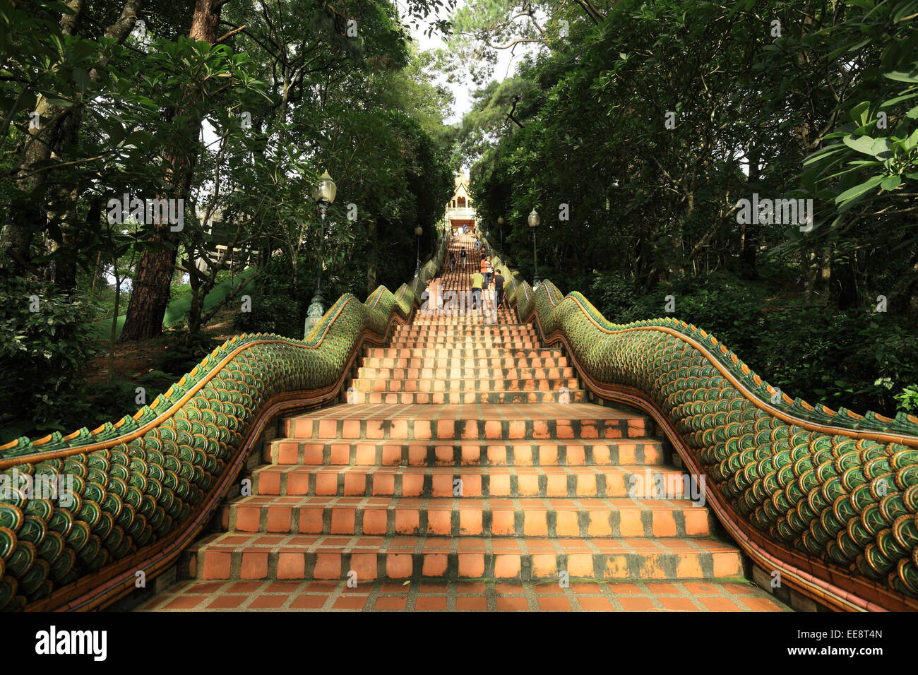 Le scale che portano al Wat Phrathat Doi Suthep - Tailandia Foto Stock