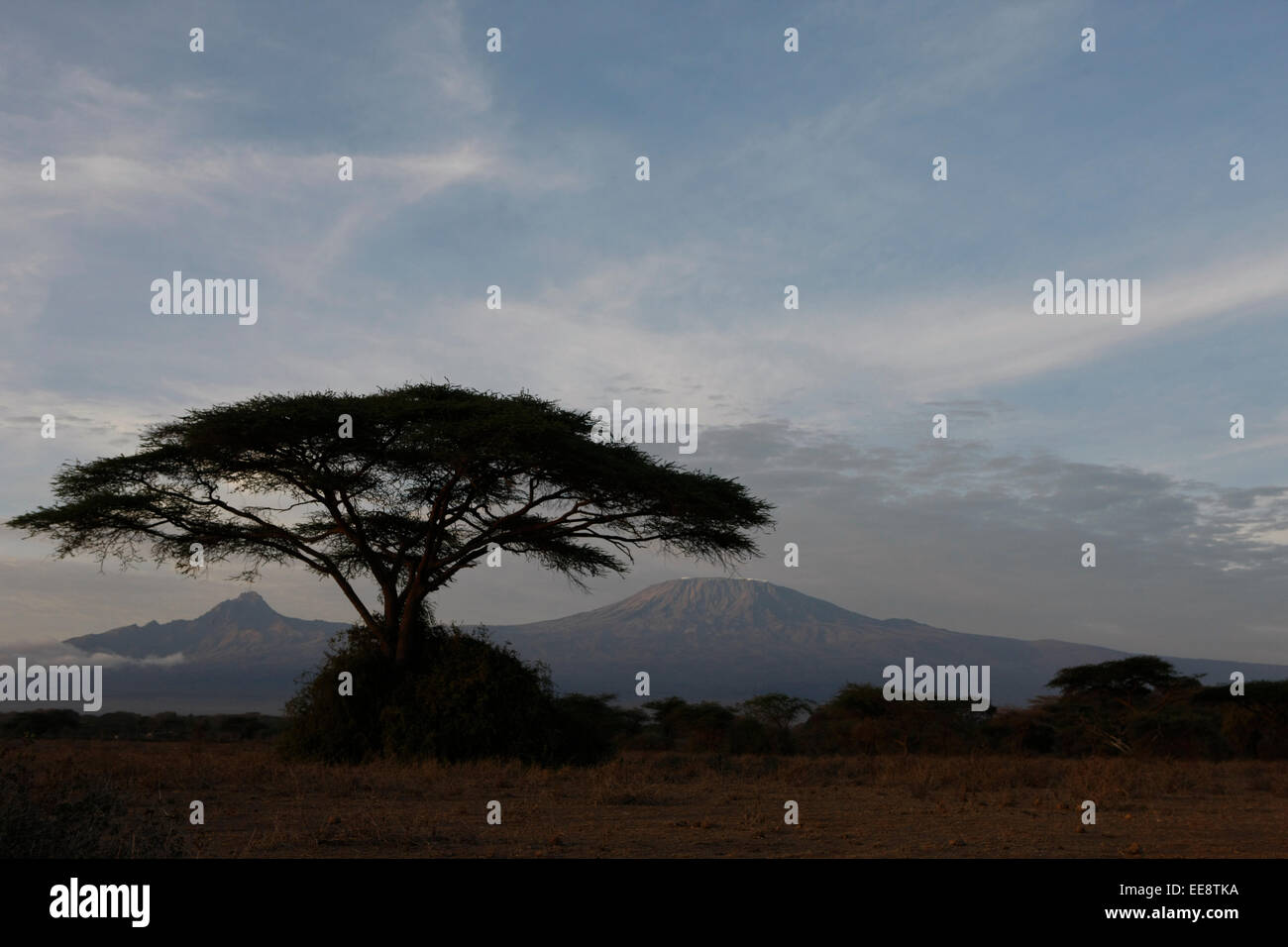 Alba sul Monte Kilimanjaro forma parte del Kenya Foto Stock