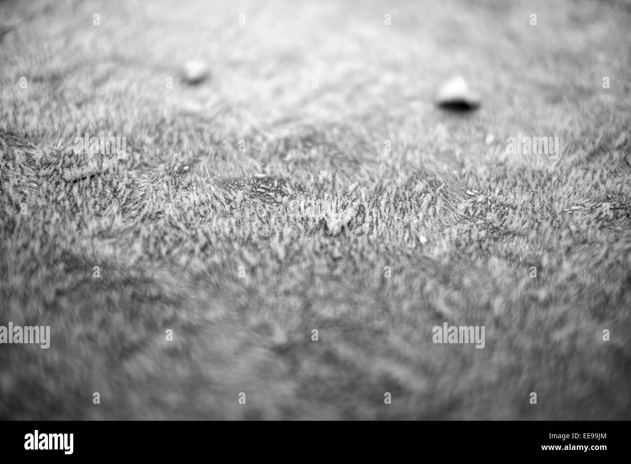 La brina e il ghiaccio su un bidone della spazzatura coperchio England Regno Unito Foto Stock