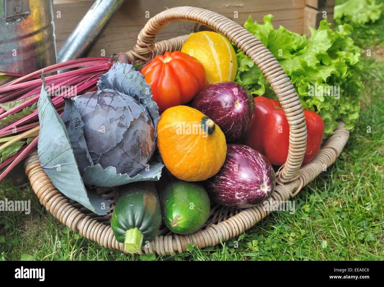 Fresco e colorato giardino ortaggi in un cestello Foto Stock
