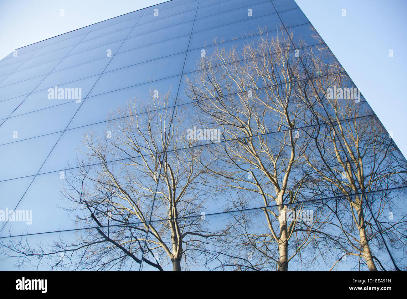 La facciata in vetro dell'ufficio moderno edificio con riflessi di alberi e cielo blu Foto Stock