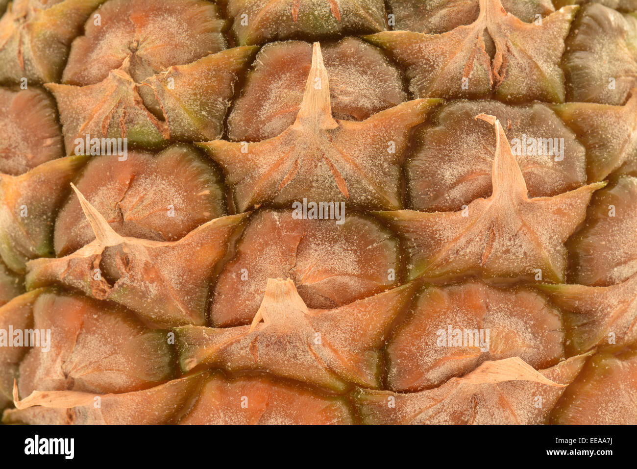Macro closeup di ananas fresco pelle orizzontale "full frame" Foto Stock