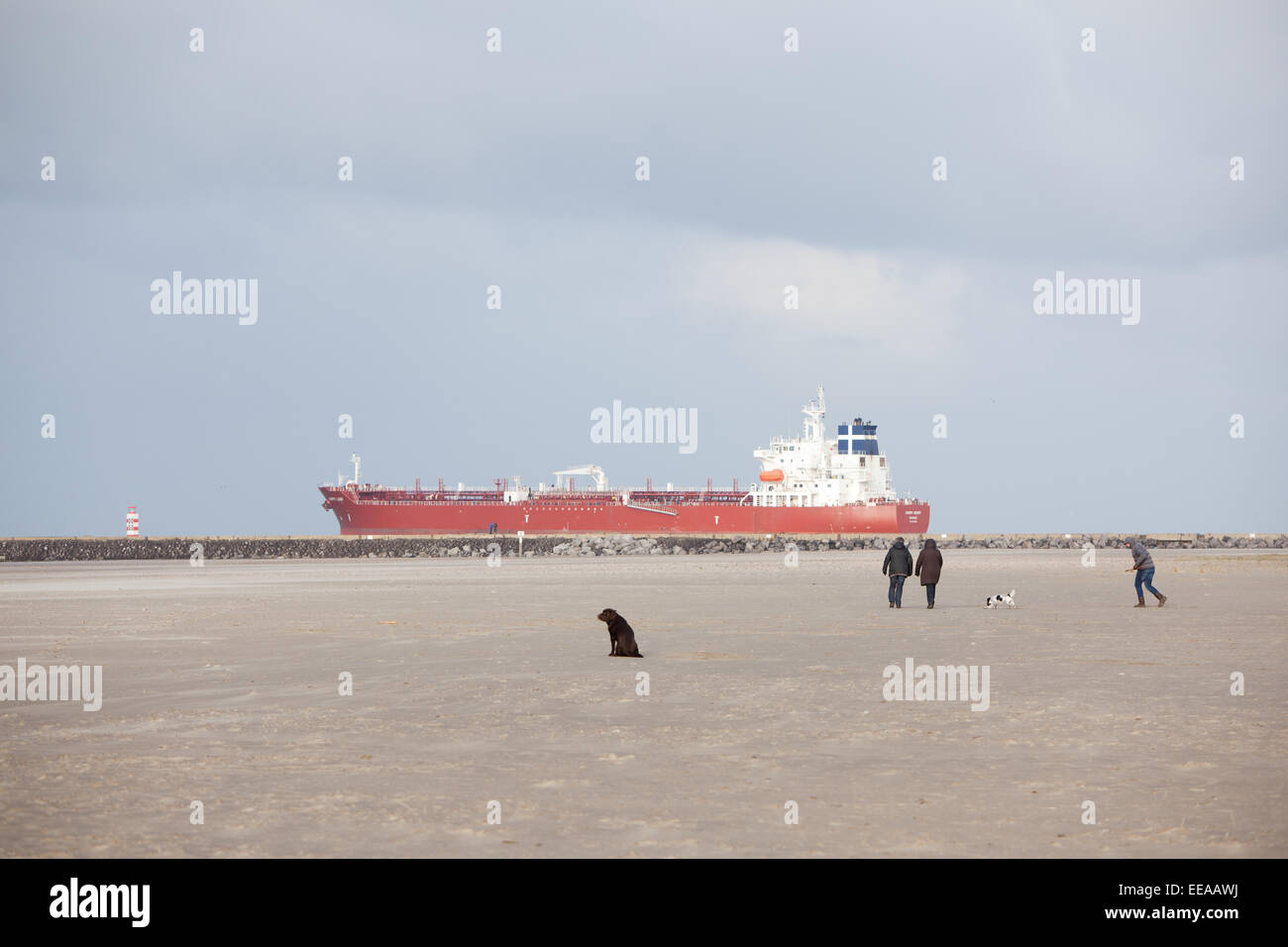 Il cane si siede sulla spiaggia e la gente a piedi con nave in background Foto Stock