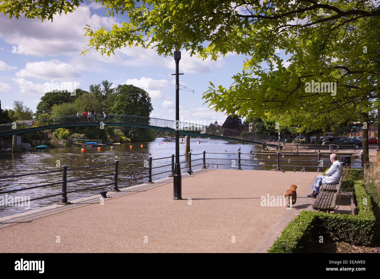 UK, Londra, Twickenham, l uomo con il cane sul sedile lungo il fiume dal Ponte sul Fiume Tamigi a Eel Pie Island Foto Stock