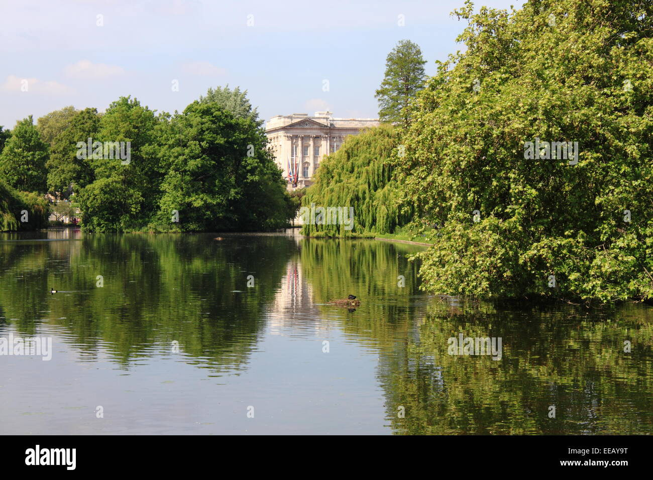 Buckingham Palace da St. James Park a Londra, Regno Unito Foto Stock