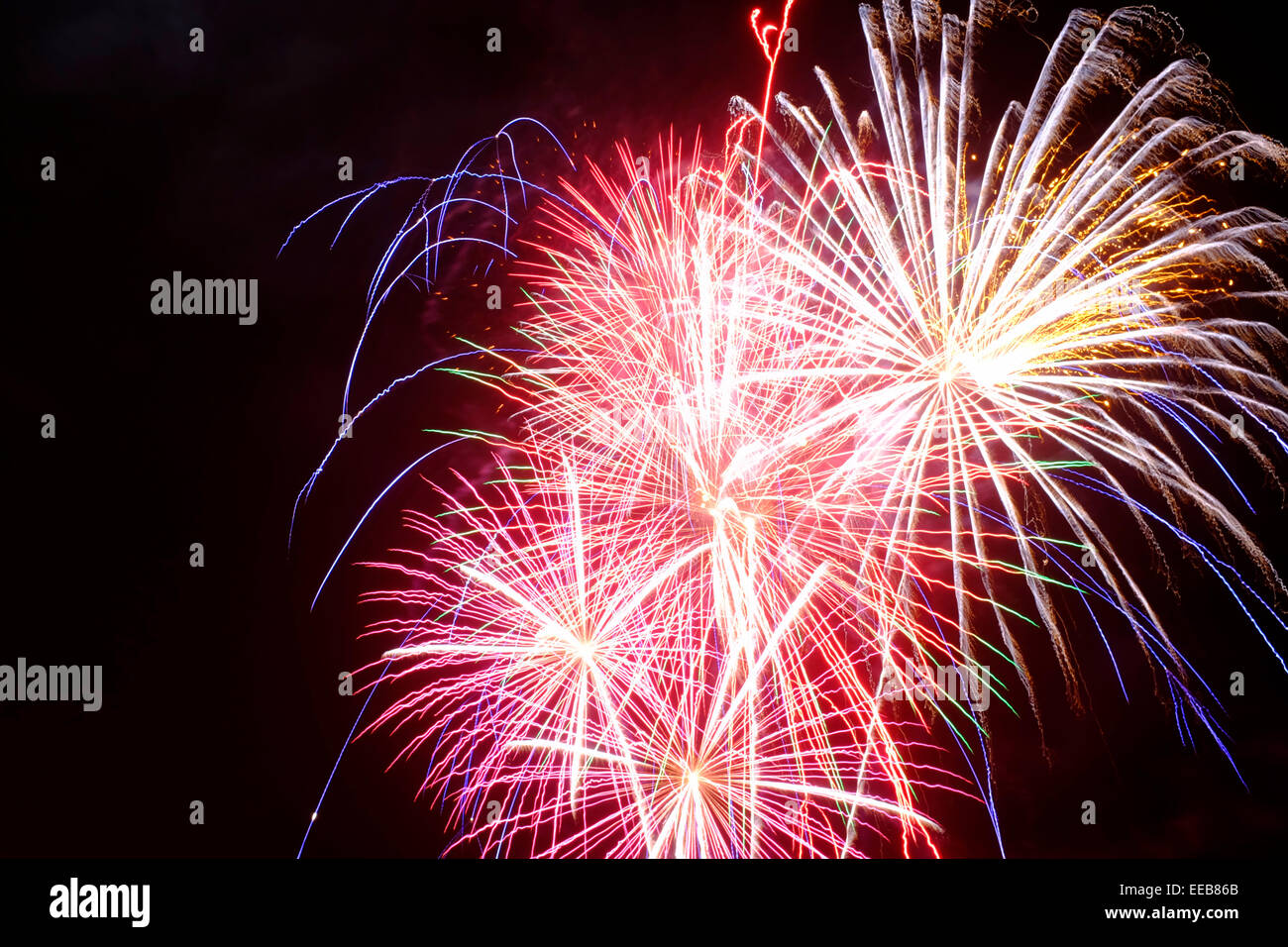 Fuochi d'artificio su sfondo nero Foto Stock