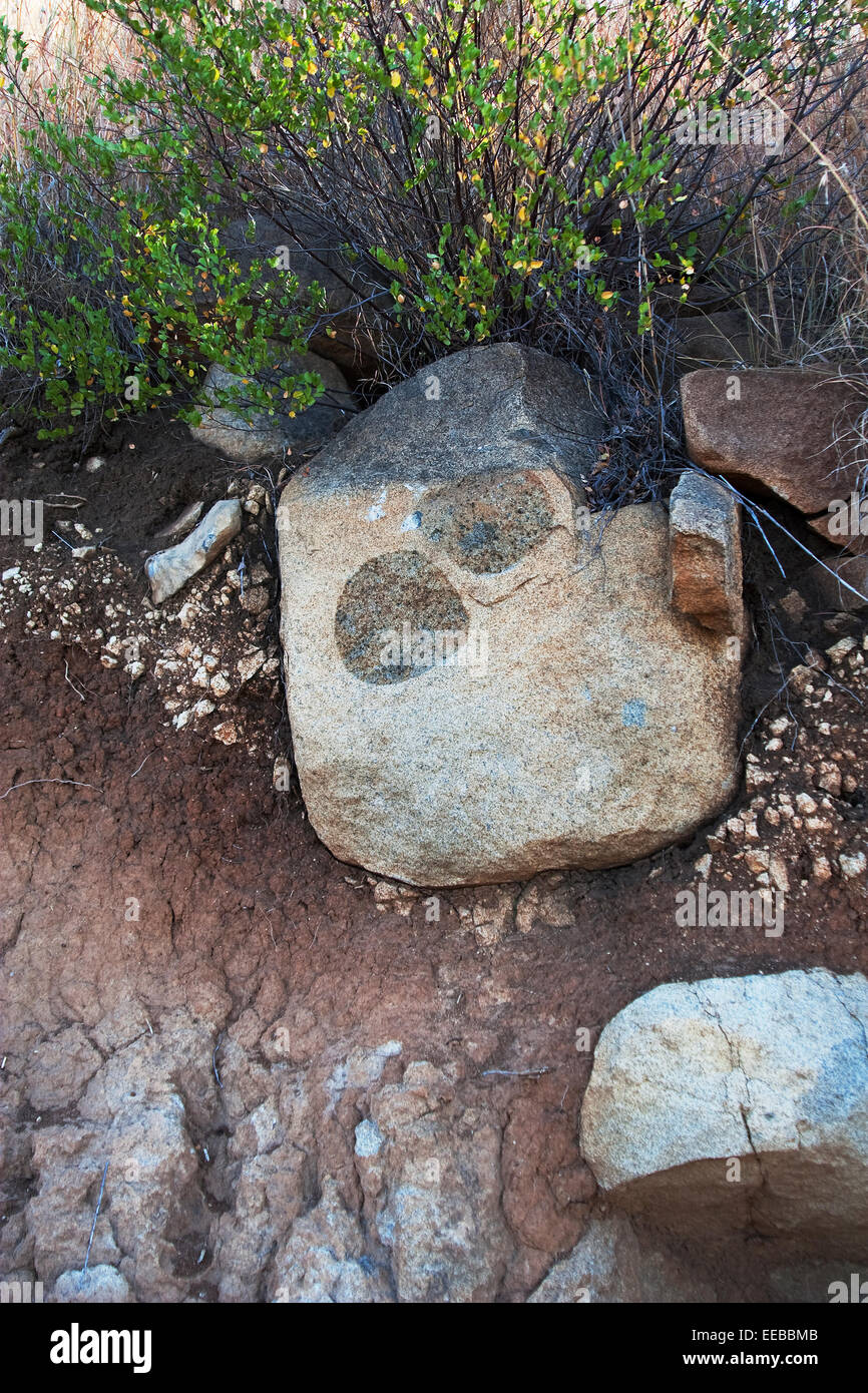 Palle di pietra pirossene o palle da tennis piroxenite che si trovano intorno alla nuova miniera di platino nel complesso Igneous di Bushveld in Sud Africa Foto Stock