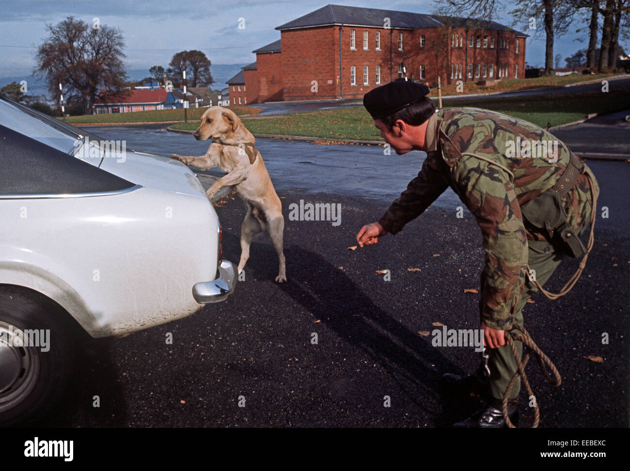 Armi di Ulster - FEBBRAIO 1972..Esercito Britannico gestore del cane con la sua bomba sniffer cane durante i guai, Irlanda del Nord. Foto Stock