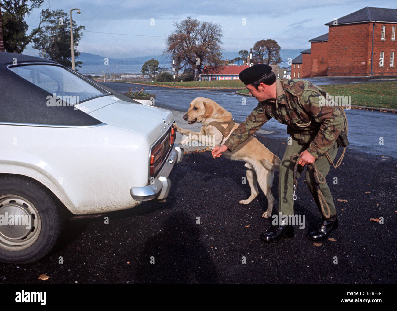 Armi di Ulster - FEBBRAIO 1972..Esercito Britannico gestore del cane con la sua bomba sniffer cane durante i guai, Irlanda del Nord. Foto Stock