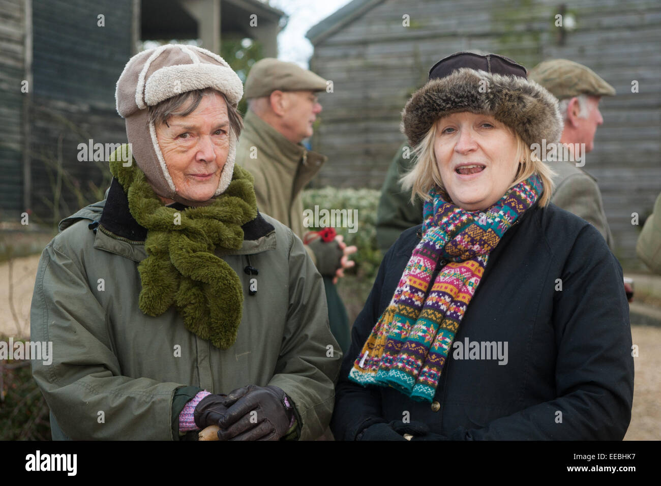 Hill Top Farm, Oakham, Rutland, UK. Il 15 gennaio, 2015. Beagles di dieci Pipewell pack all'incontro tenutosi a Hill Top Farm, Oakham, Rutland, Inghilterra. Credito: Jim Harrison/Alamy Live News Foto Stock