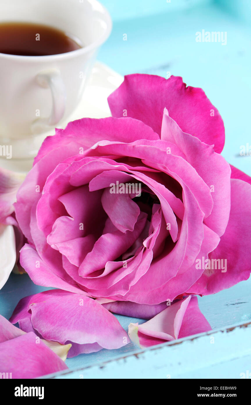 Bella rosa rosa con la tazza di tè sul blu pallido shabby chic tavolo. Foto Stock