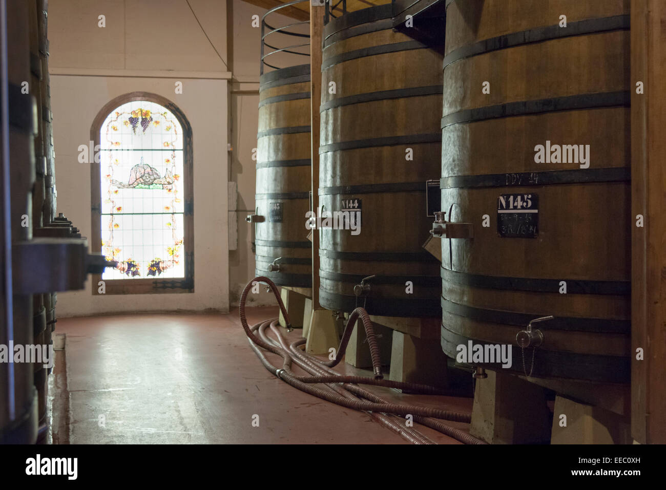 La fermentazione di barili al R Lopez de Heredia vineria o Bodega a Haro, la capitale del vino Rioja rendendo area in Spagna Foto Stock