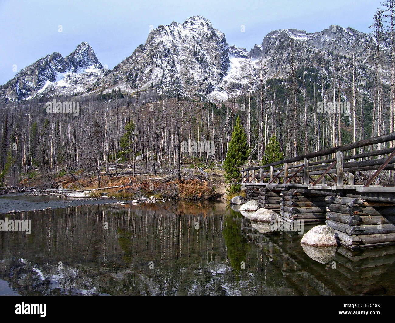 Neve fresca e di riflessione nella stringa del lago e ponte con picco Rockchuck, Mt. San Giovanni e simmetria guglia in Grand Teton National Park in Jackson Hole, Wyoming. Foto Stock