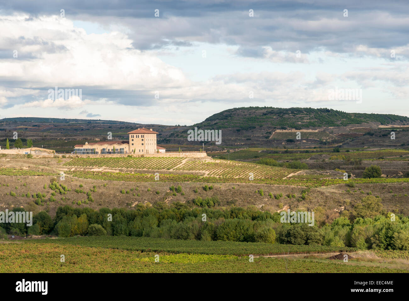 Una bodega impostato nella laminazione landsacpe di La Rioja vino regione in Spagna Foto Stock