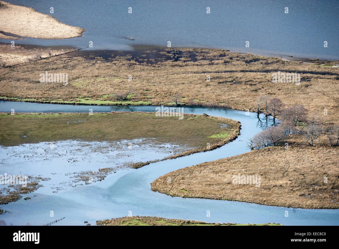 Zona umida allagata sul bordo di un fiume nel distretto del lago, Inghilterra. Foto Stock