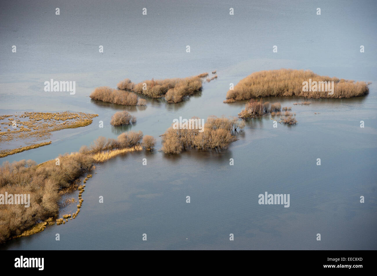 Zona umida allagata sul bordo di un fiume nel distretto del lago, Inghilterra. Foto Stock