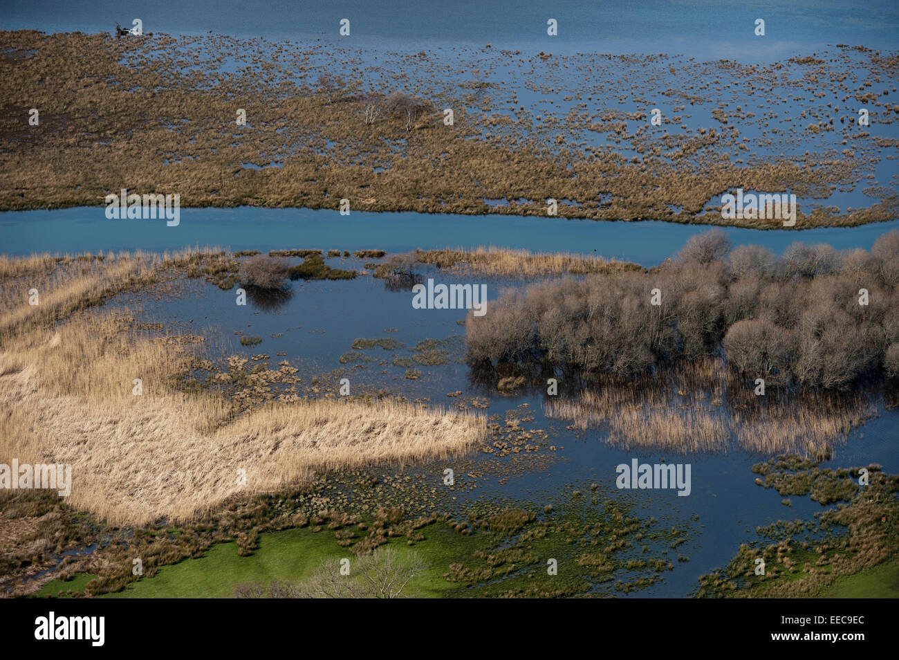 Zona umida allagata sul bordo di un fiume nel distretto del lago, Inghilterra. Foto Stock