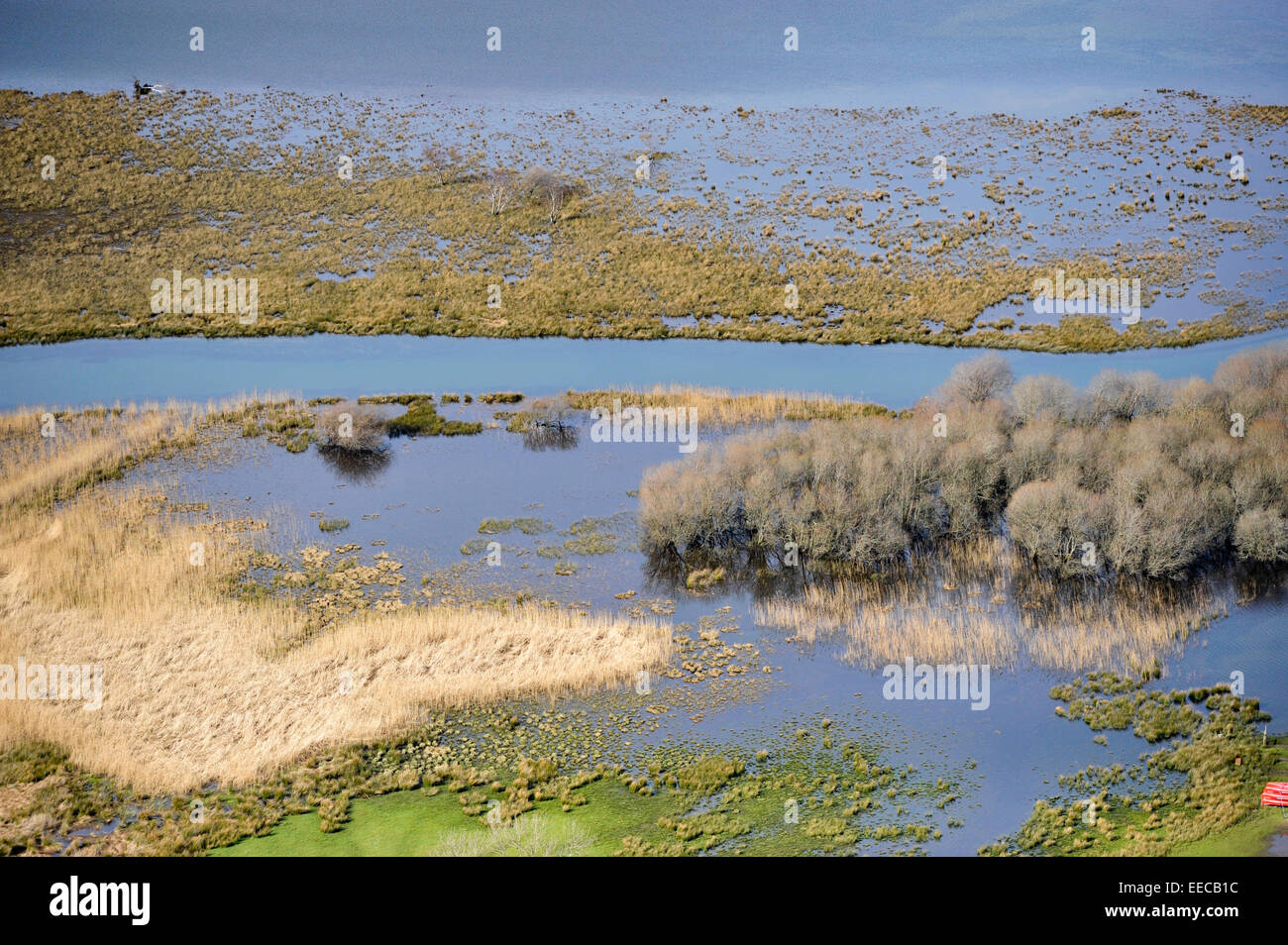 Zona umida allagata sul bordo di un fiume nel distretto del lago, Inghilterra. Foto Stock