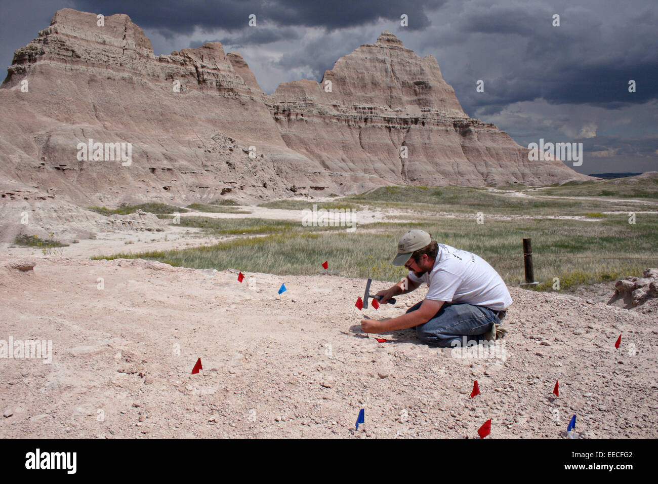 Un paleontologo lavorando su uno scavo per fossili presso il sito di Saber nel Parco nazionale Badlands in Sud Dakota. Foto Stock