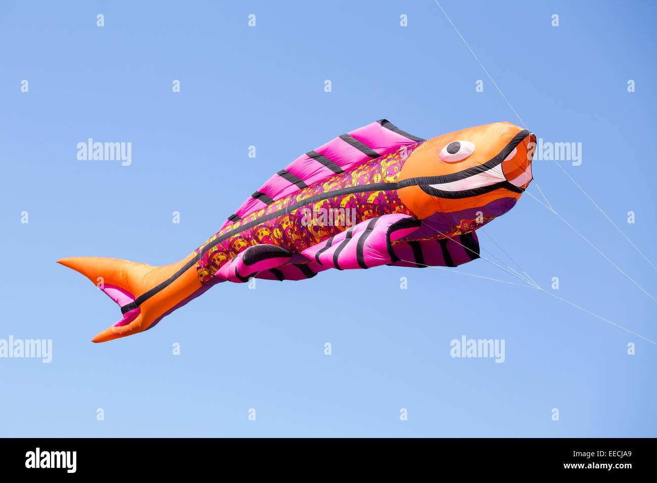 Grande pesce-come aquilone nel cielo blu Foto stock - Alamy