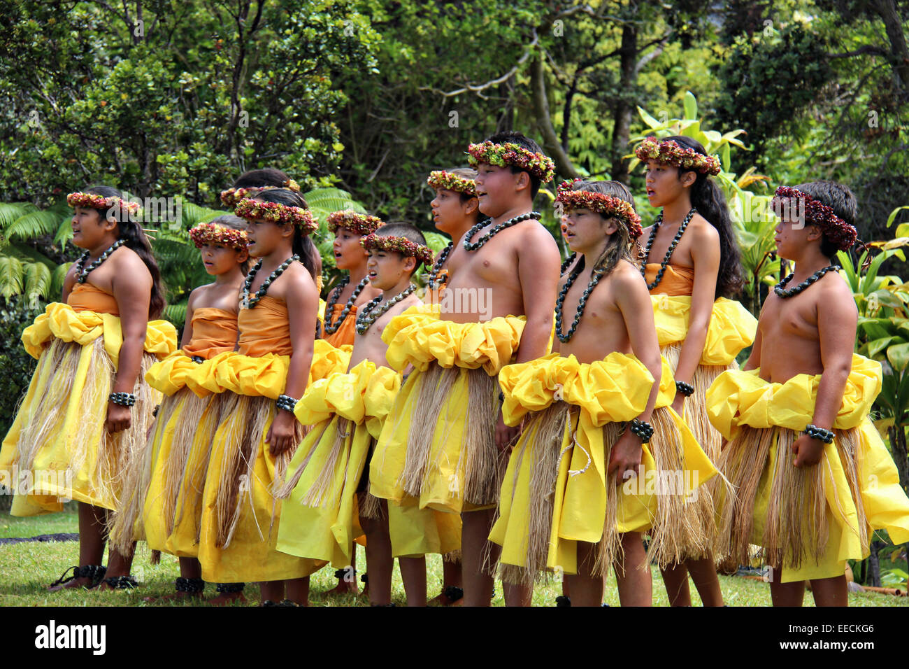 Giovani bambini danno una performance di Hula nel Parco Nazionale dei Vulcani delle Hawaii in Hilo, Hawaii. Foto Stock