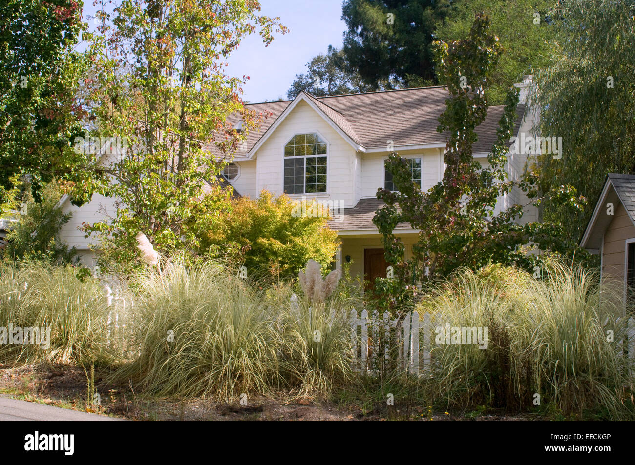 California tipica residenza di campagna in legno con white Picket Fence & abbondante fauna flora Foto Stock