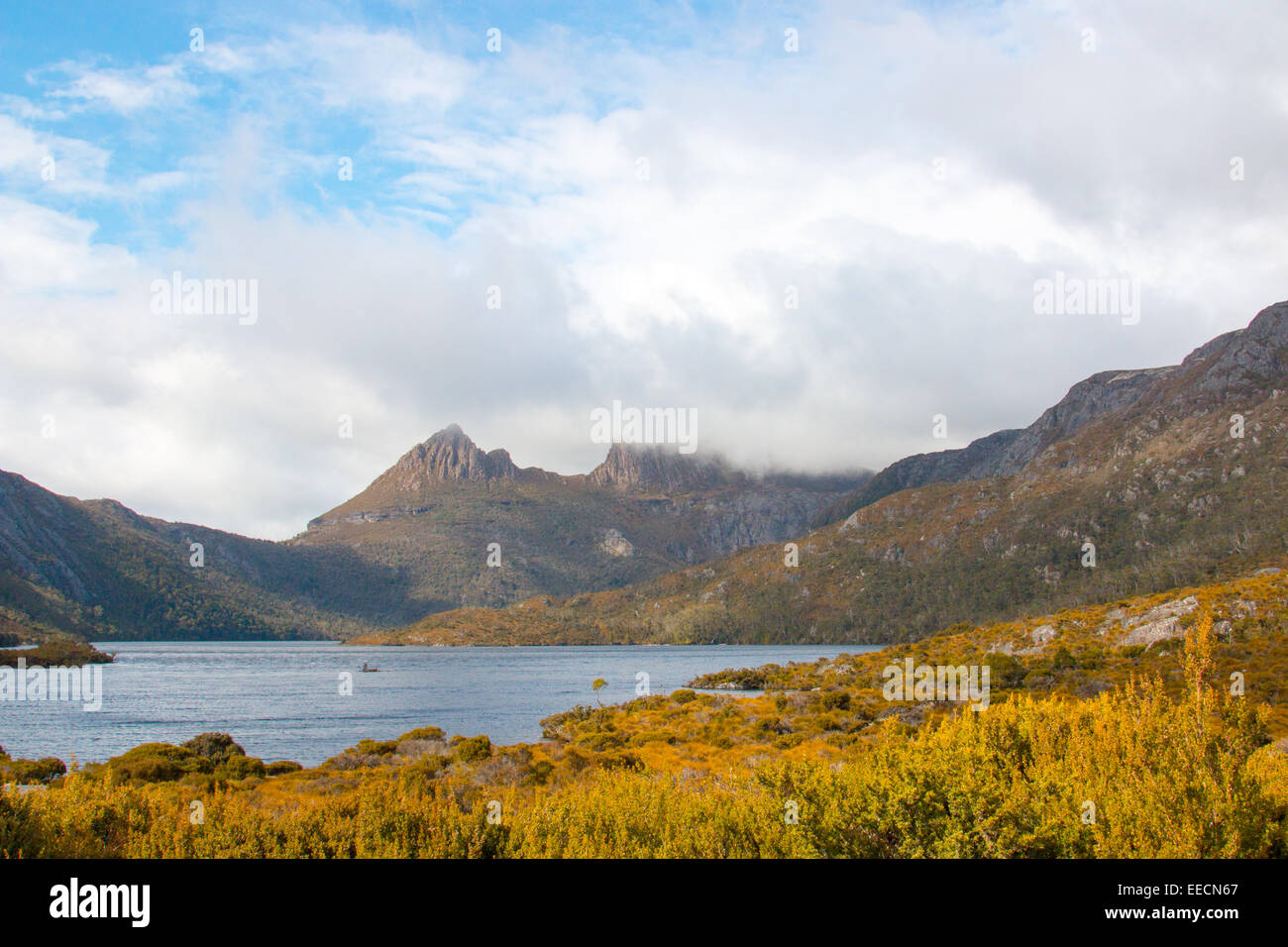 Cradle mountain lake st clair national park , Tasmania, Australia Foto Stock