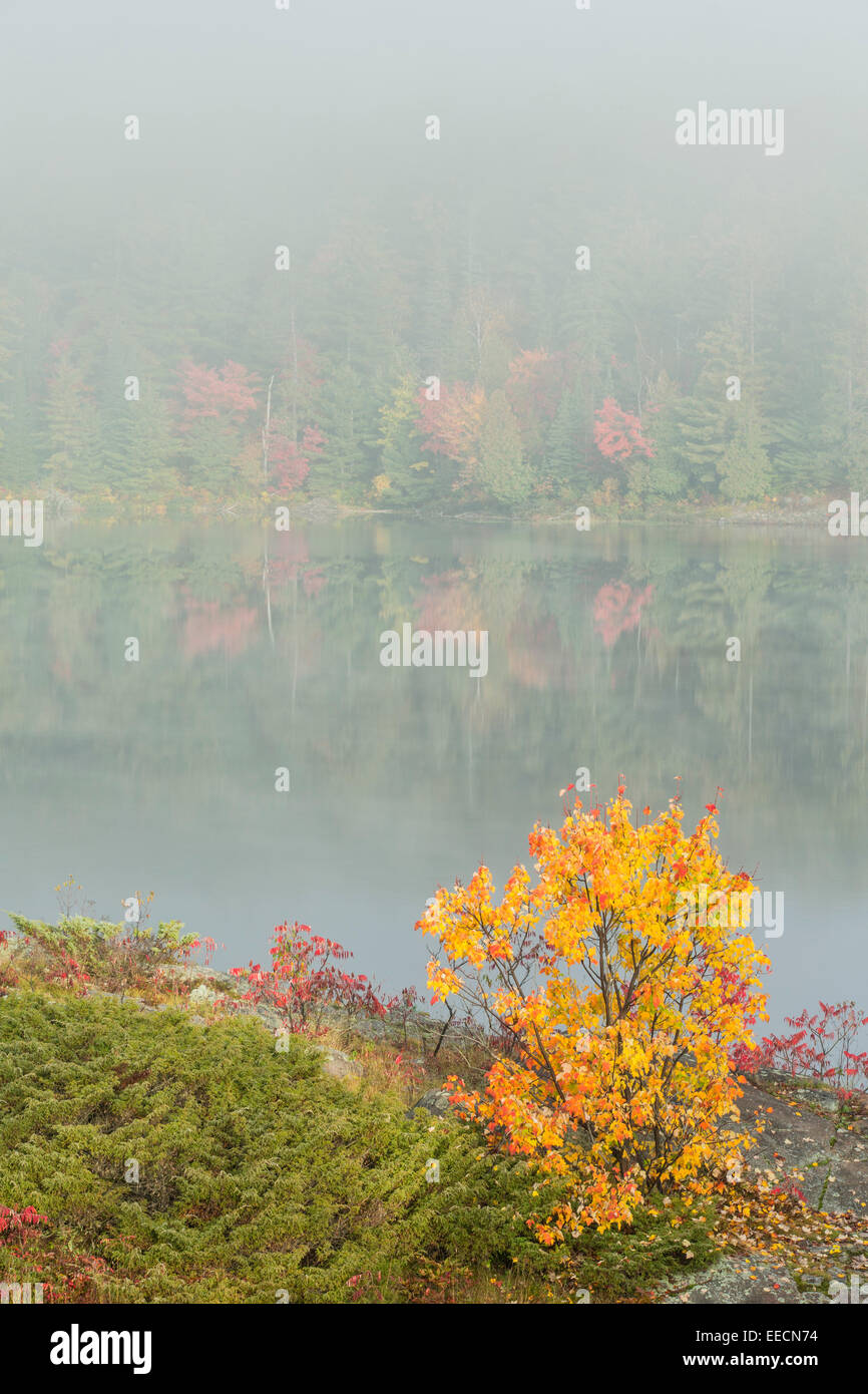 In autunno la nebbia al Rock Lake, Distretto di Sudbury, Ontario, Canada. Foto Stock