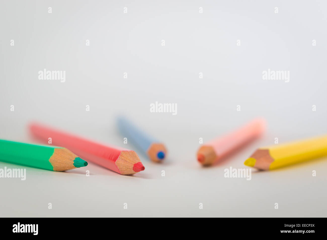 Un gruppo di matite colorate, Immagine concettuale di un umano creativo team di leadership seguenti, di apprendimento, di condivisione delle idee Foto Stock