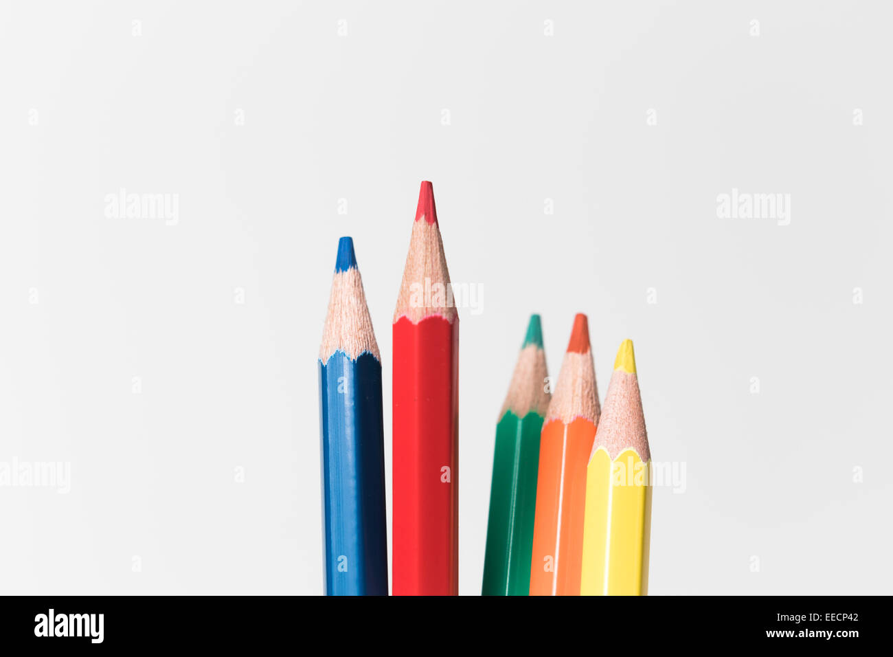 Un gruppo di matite colorate, Immagine concettuale di un umano creativo team di leadership seguenti, di apprendimento, di condivisione delle idee Foto Stock