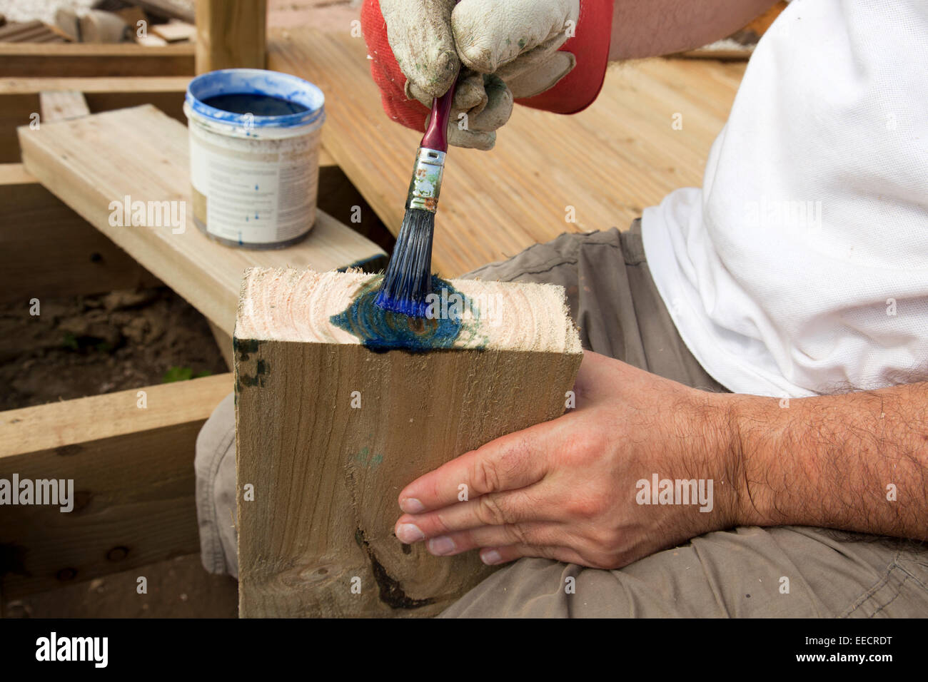 Verniciatura del preservatore del legno a grana fine su travi per il progetto di pavimentazione fai da te. Applicato per proteggere le estremità tagliate del legno trattato a pressione Foto Stock
