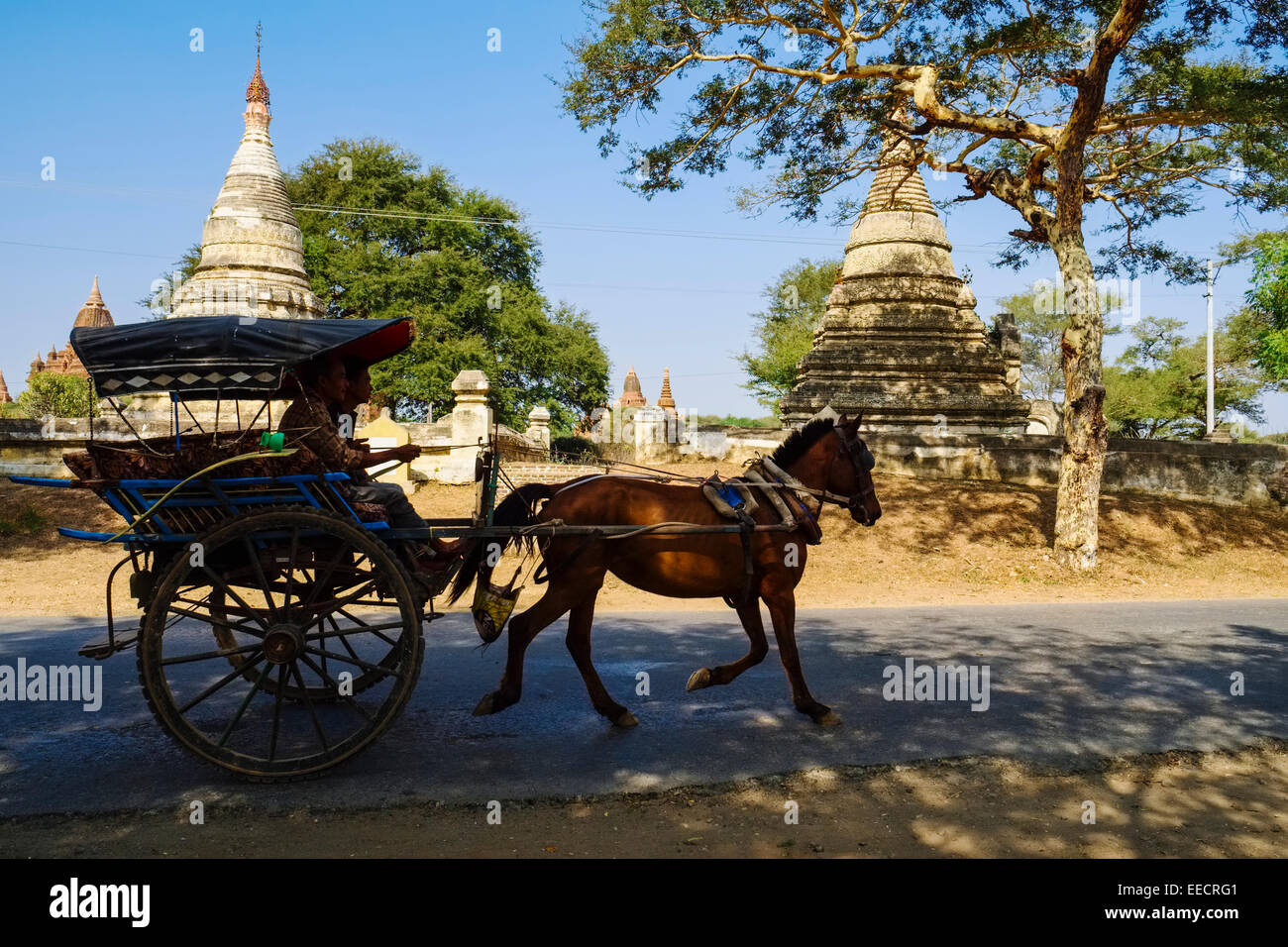 Carrozza a cavalli sulla strada vicino a Nyaung U, Bagan, Myanmar Foto Stock