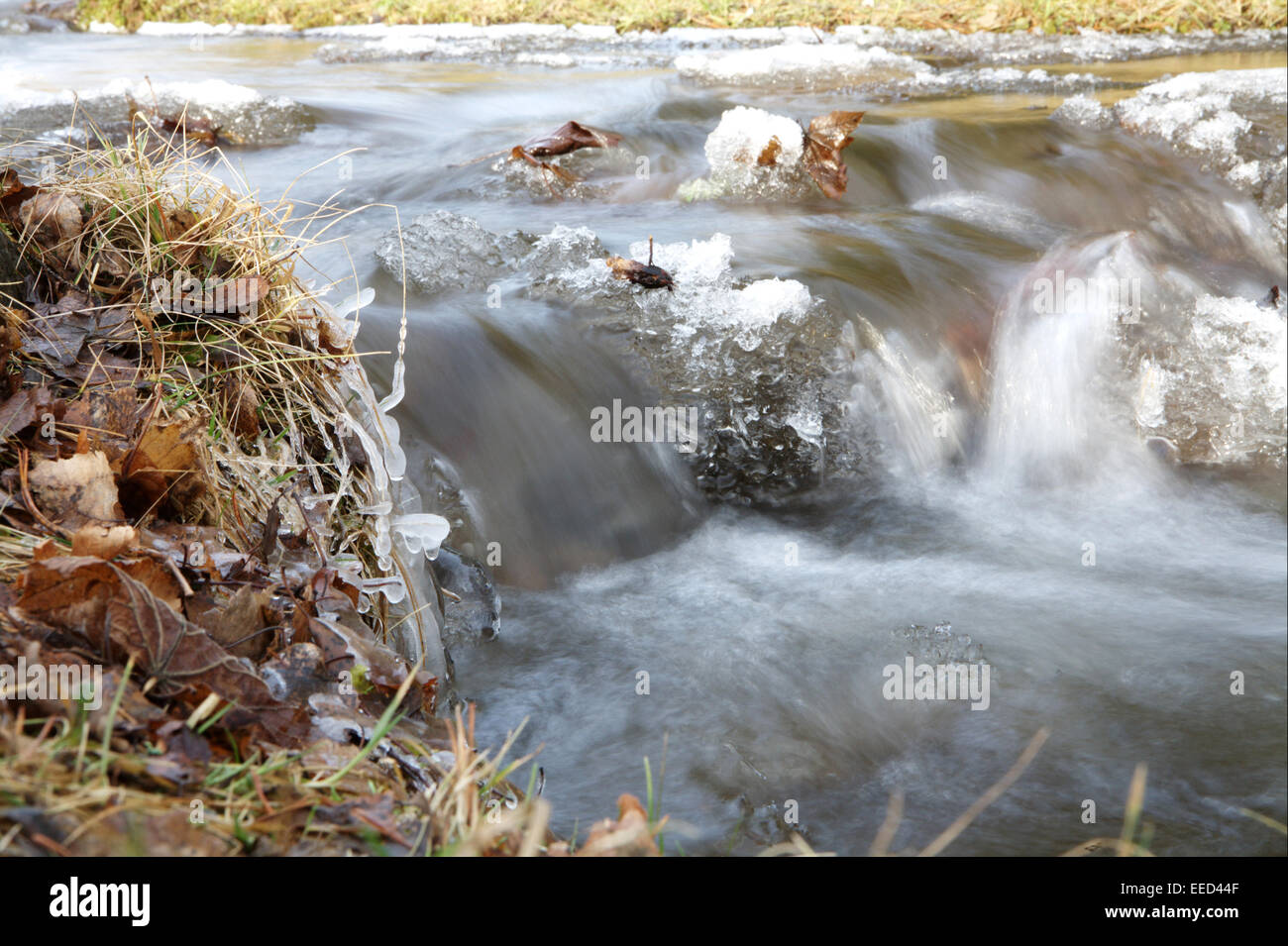 Europa, Slowakei, Vysok" Tatry, Hohe Tatra, Slovacchia, Natur, Slowakische Republik, vereist, dettaglio, Bach, Gewaesser, Gewässer, e Foto Stock