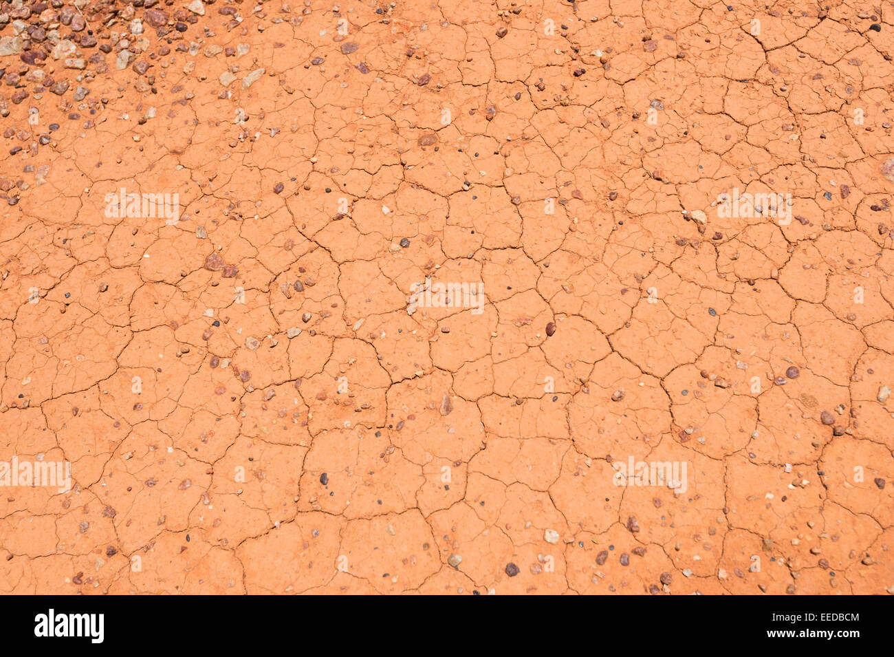 Arido suolo durante un periodo di siccità, Sud Australia Foto Stock