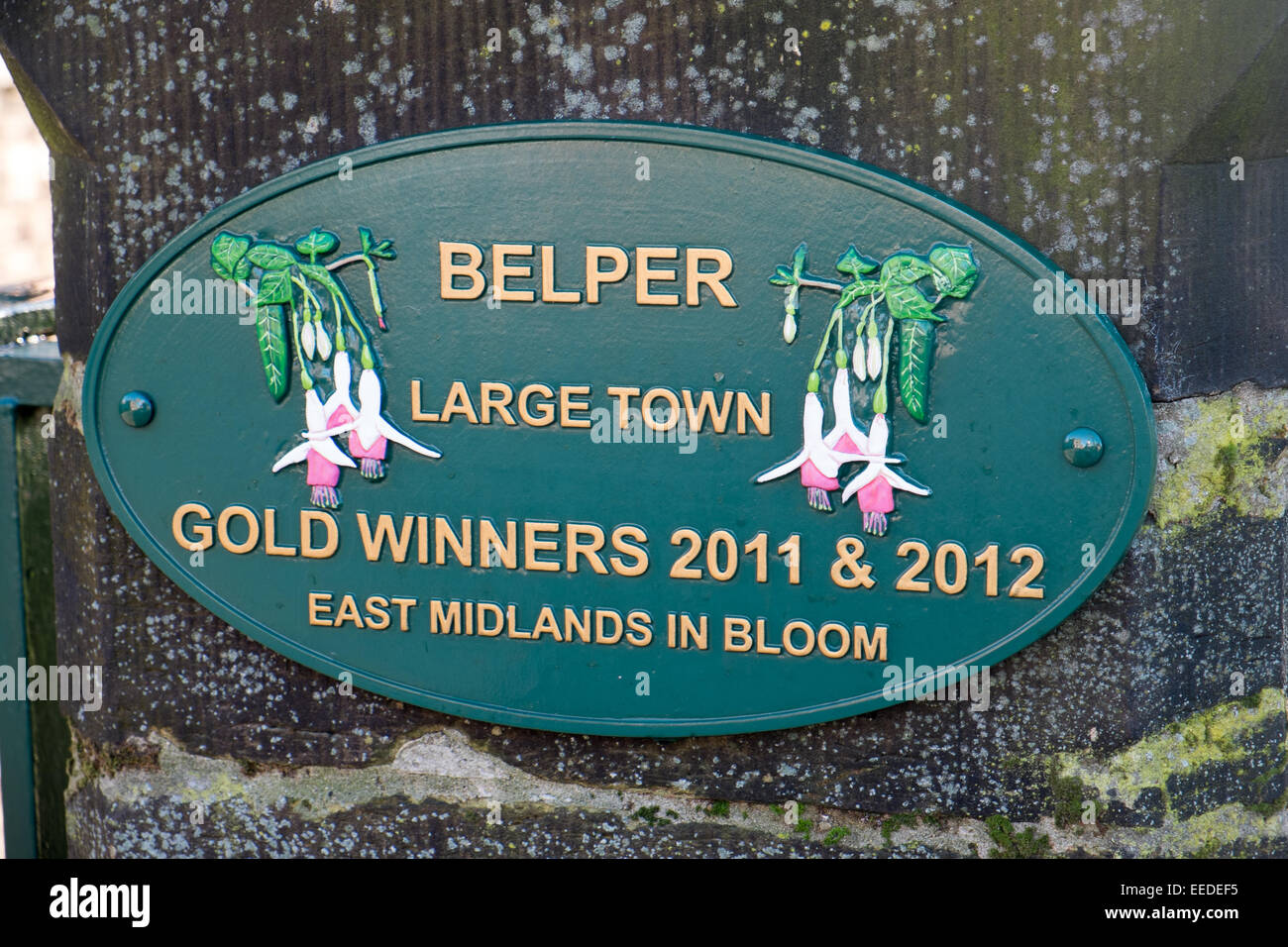 Premio per i fiori delle East midlands in fiore a Belper, una città del Derbyshire, Inghilterra, Regno Unito, 2015 Foto Stock