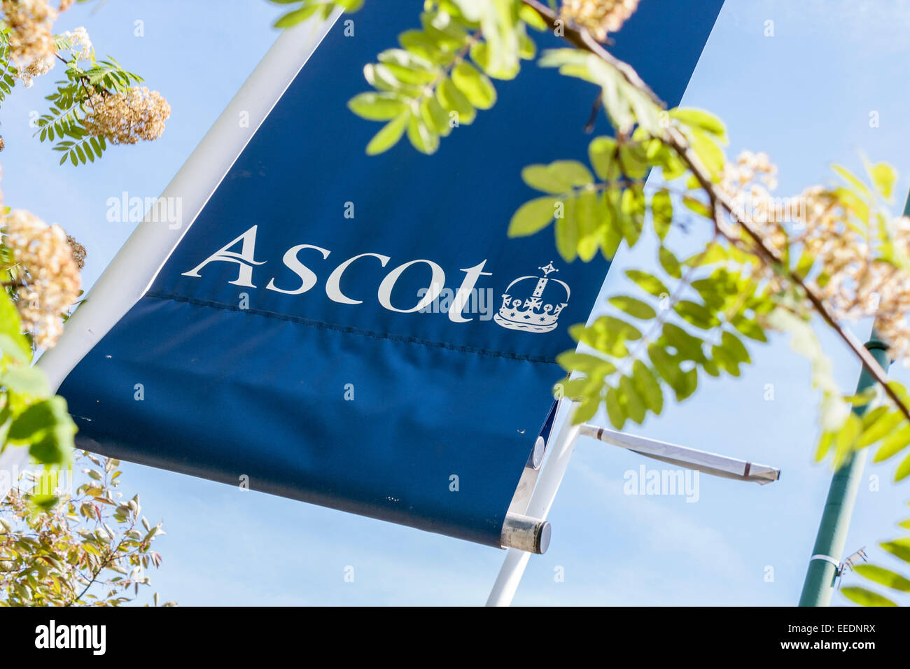 Banner al di fuori di Ascot Racecourse, Ascot Berkshire, Inghilterra, GB, Regno Unito Foto Stock
