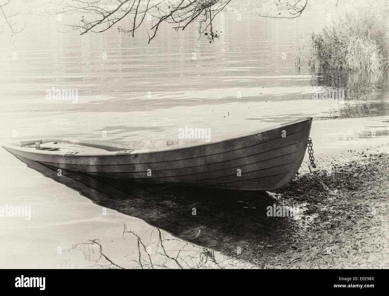 Sveglia Vintage In Una Pozzanghera Di Fango - Fotografie stock e altre  immagini di Acqua - Acqua, Ambientazione esterna, Antico - Vecchio stile -  iStock