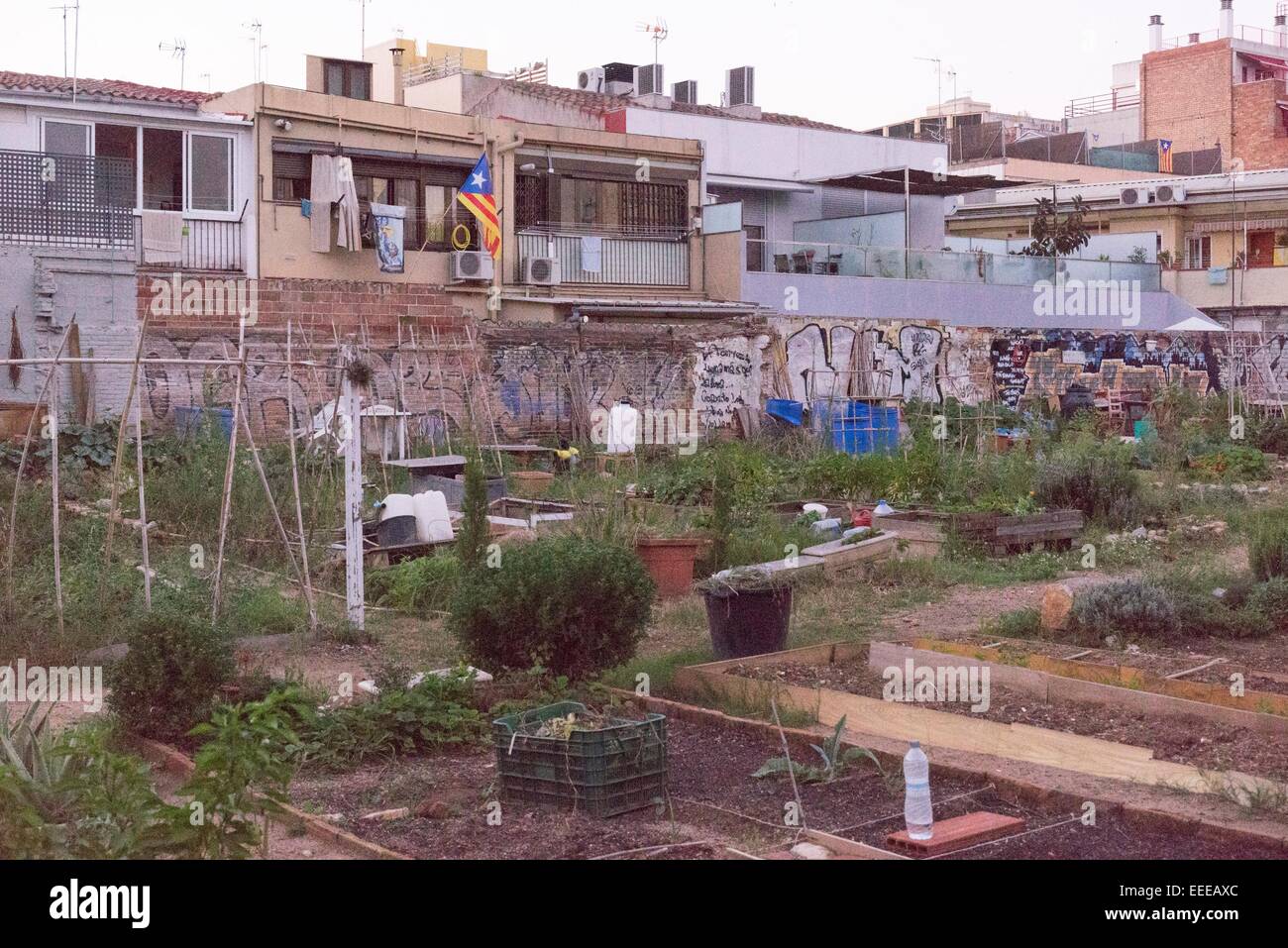 Quartiere Giardino in ex industrail District Poble Nou di Barcellona 04.10.2014 Foto Stock