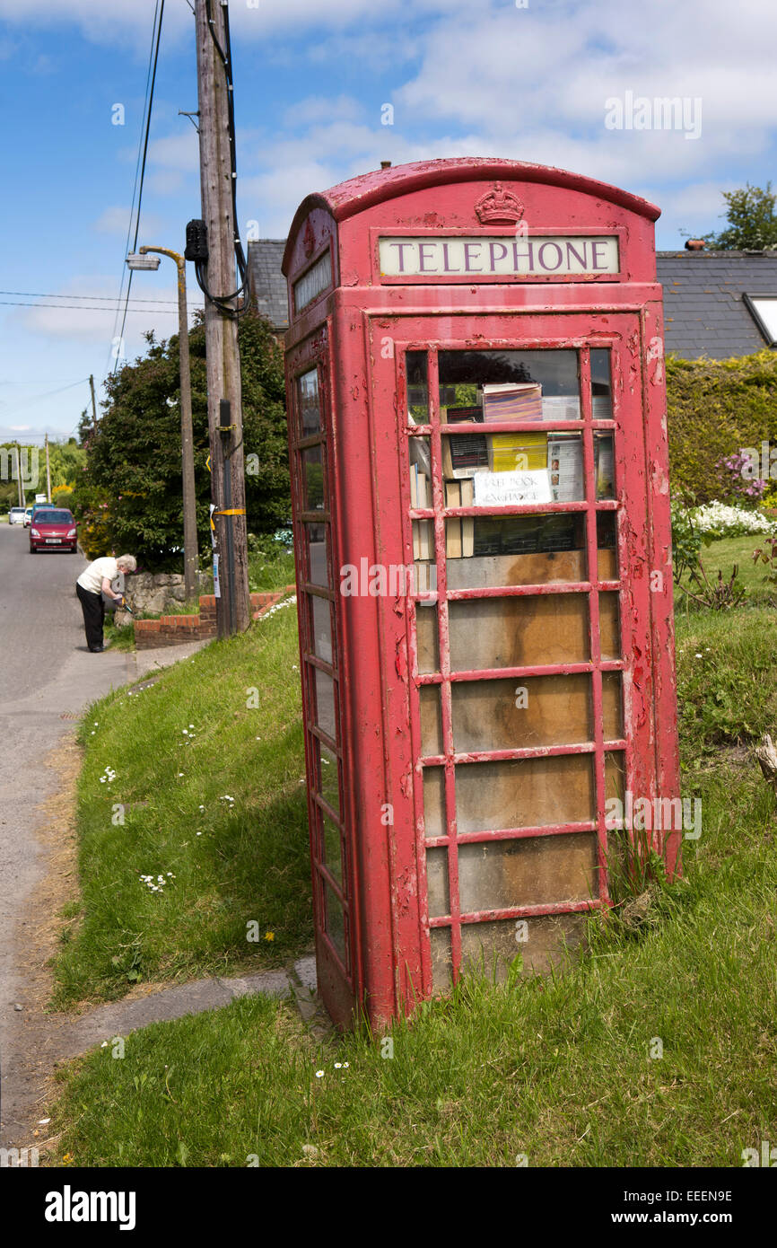 Regno Unito, Inghilterra, Wiltshire, Vale of Pewsey, tutti Cannings, la strada, villaggio K6 casella telefono utilizzato come libro exchange Foto Stock