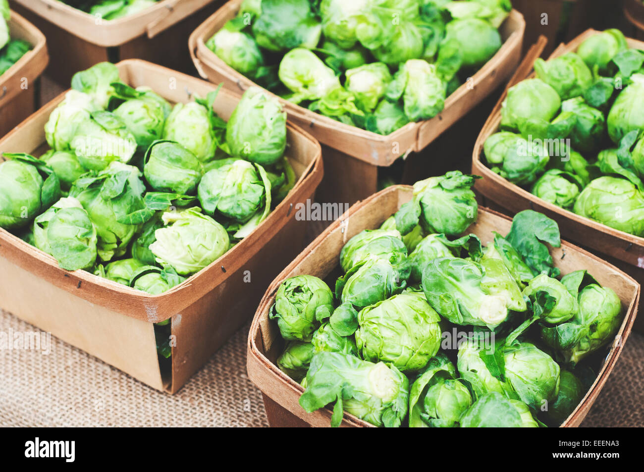 Cestini di germogli brussell Foto Stock