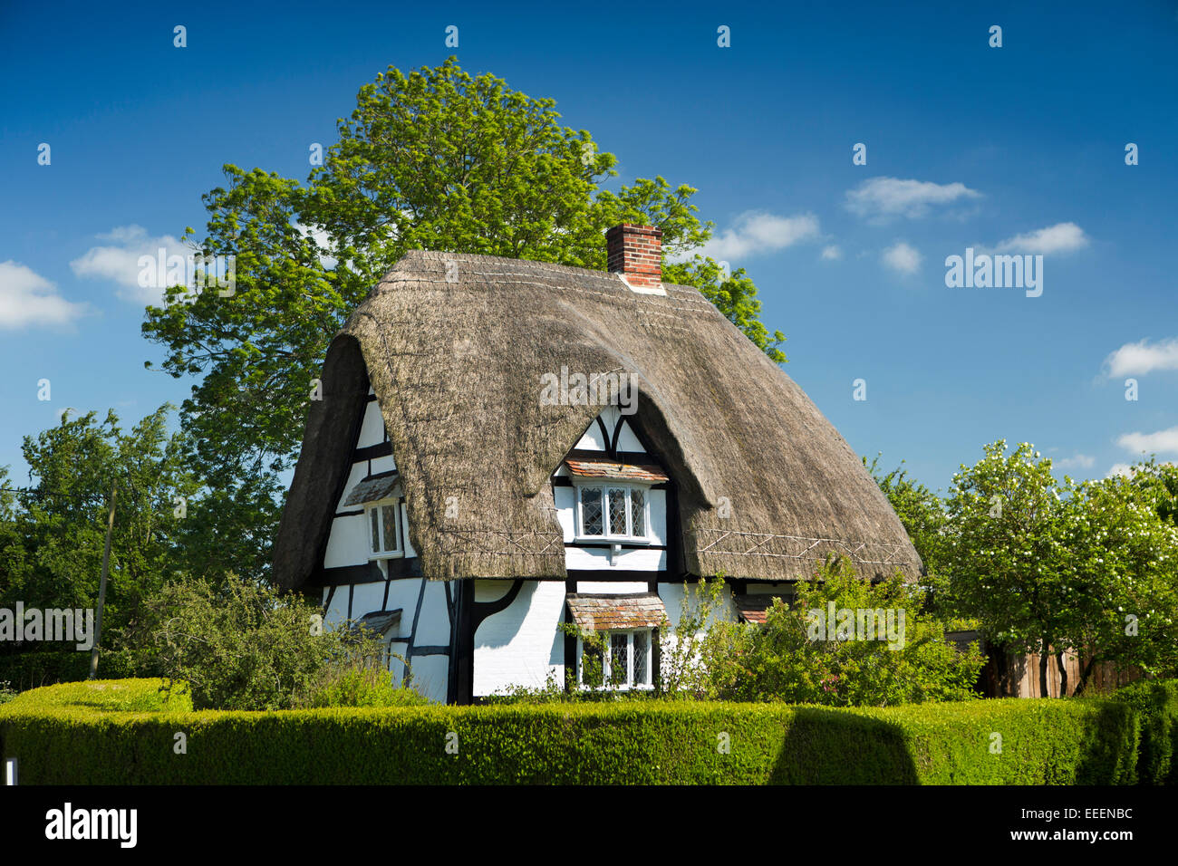 Regno Unito, Inghilterra, Wiltshire, Vale of Pewsey, Vescovo Cannings, idilliaco la struttura di legno con il tetto di paglia cottage del paese Foto Stock