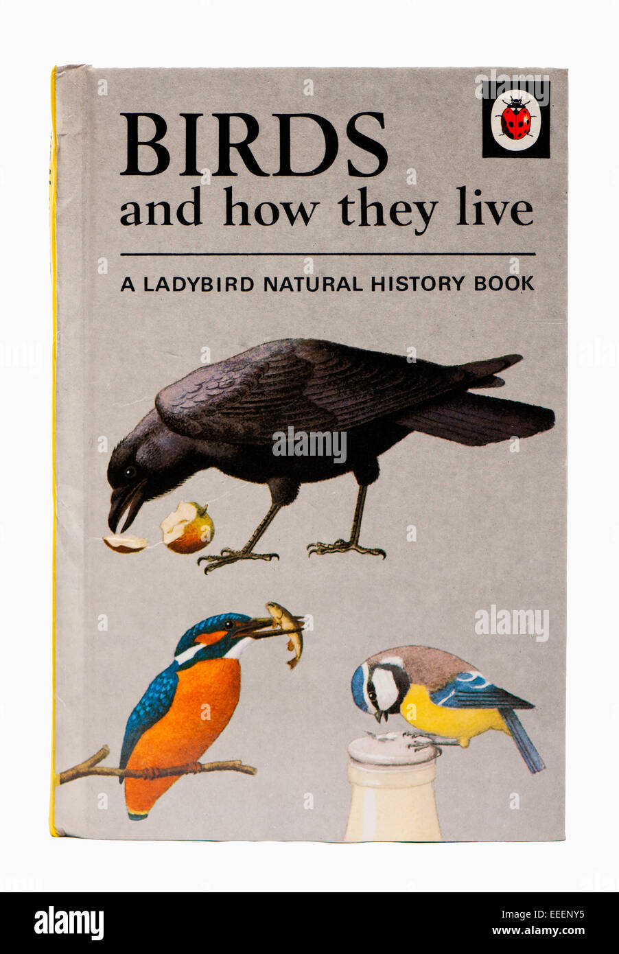 Ladybird Prenota gli uccelli e il loro modo di vivere 1966 Foto Stock