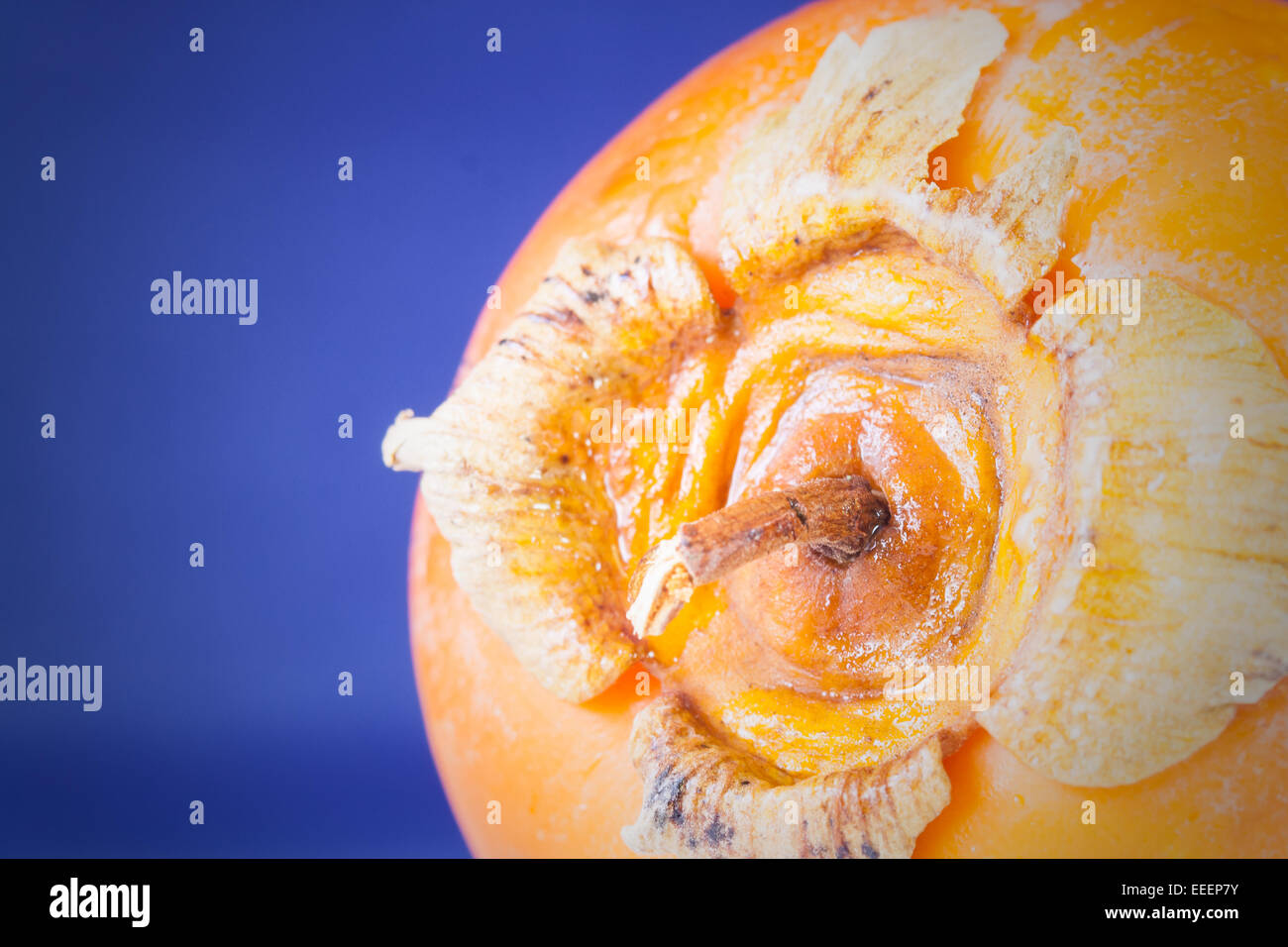 Nel corso di un frutto del kaki. Immagine macro di un frutto. Foto Stock