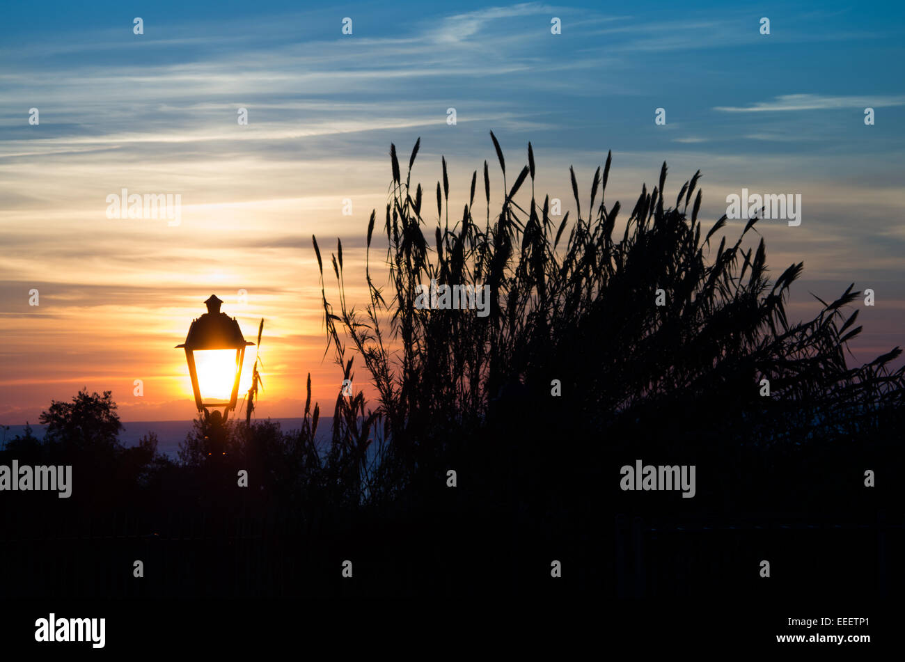 Lampada solare con giunchi Foto Stock